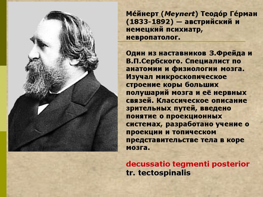 Ме́йнерт (Meynert) Теодо́р Ге́рман (1833-1892) — австрийский и немецкий психиатр, невропатолог. Один из наставников